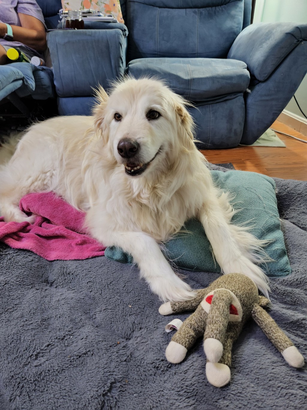 Gizmo, Our Loyal&nbsp;Companion